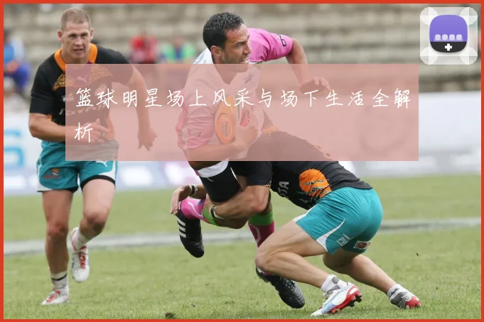 篮球明星场上风采与场下生活全解析