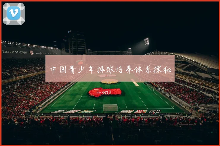 中国青少年排球培养体系探秘