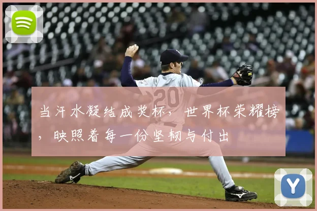 当汗水凝结成奖杯,世界杯荣耀榜,映照着每一份坚韧与付出