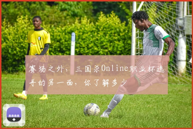 赛场之外，三国杀Online职业杯选手的另一面，你了解多少
