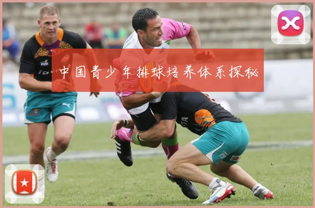 中国青少年排球培养体系探秘